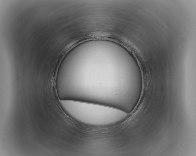 X0000113001169200908270914