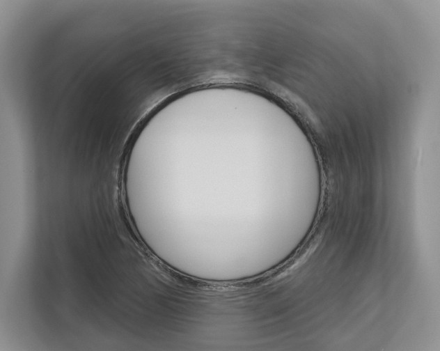 X0000113001170200908270914