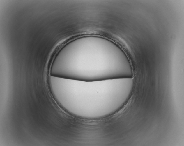 X0000113001172200908270914