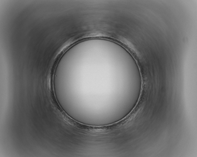 X0000113001173200908270914