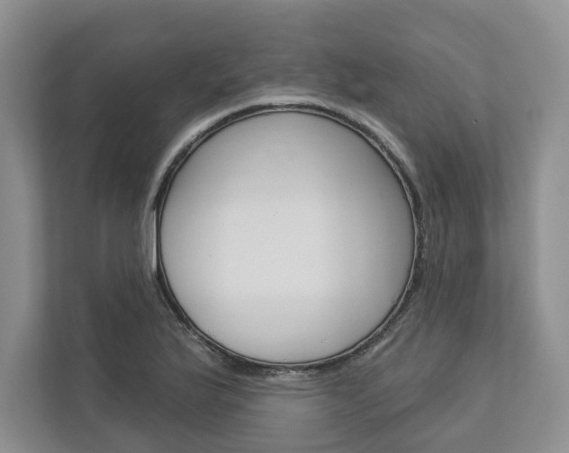 X0000113001175200908270914