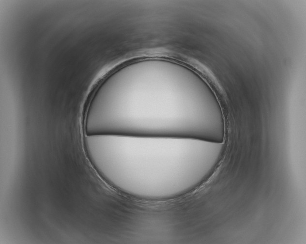 X0000113001176200908270913