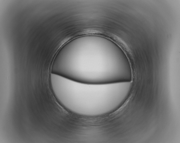 X0000113001177200908270913
