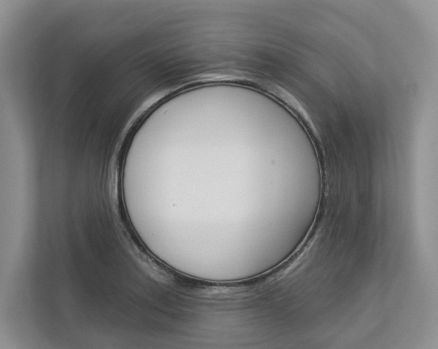 X0000113001179200908270913