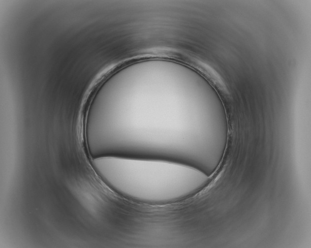 X0000113001180200908270913