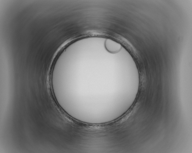 X0000113001182200908270913