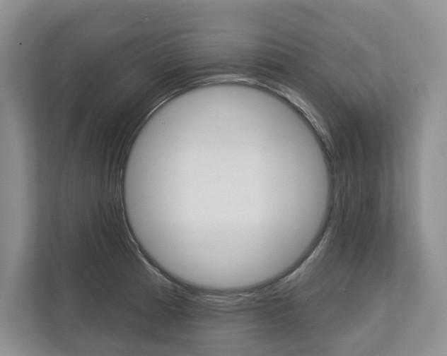 X0000113001185200908270913