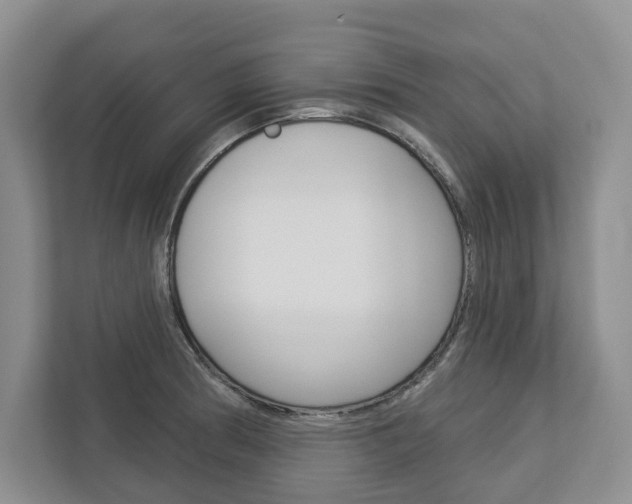 X0000113001186200908270913