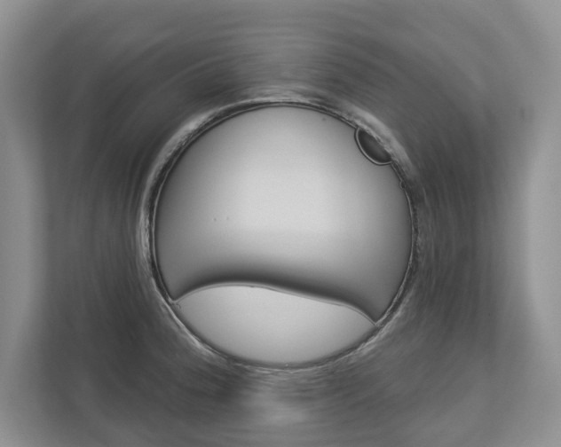 X0000113001188200908270913