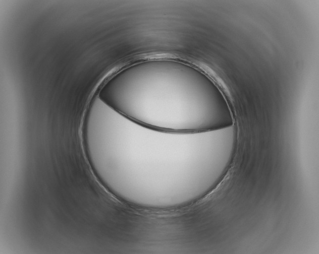 X0000113001189200908270913