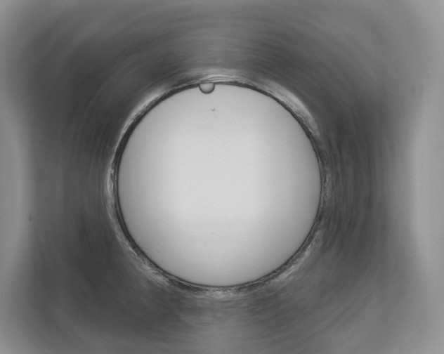 X0000113001190200908270913
