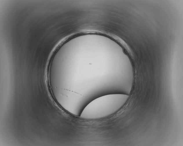 X0000113001191200908270913