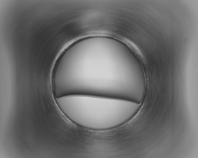 X0000113001192200908270913