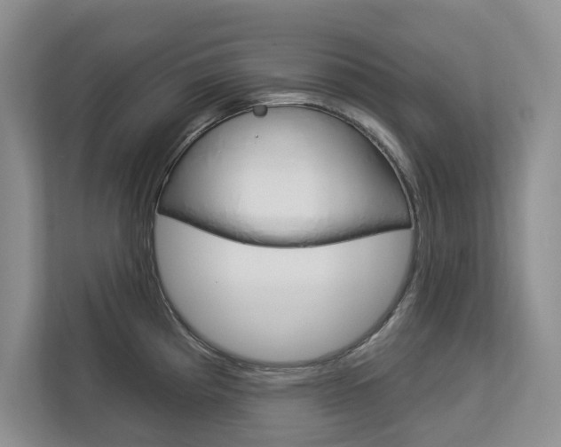 X0000113001193200908270913