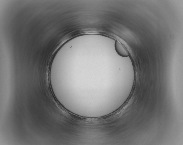 X0000113001194200908270913