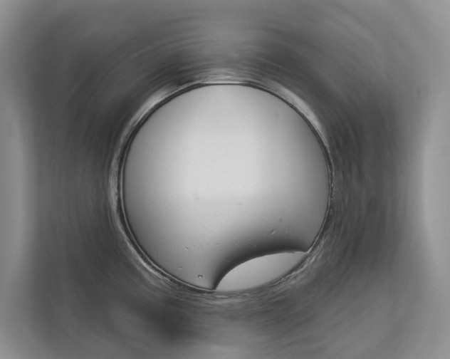 X0000113001195200908270913