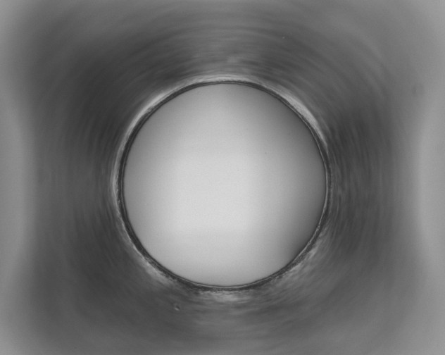X0000113001197200908270913