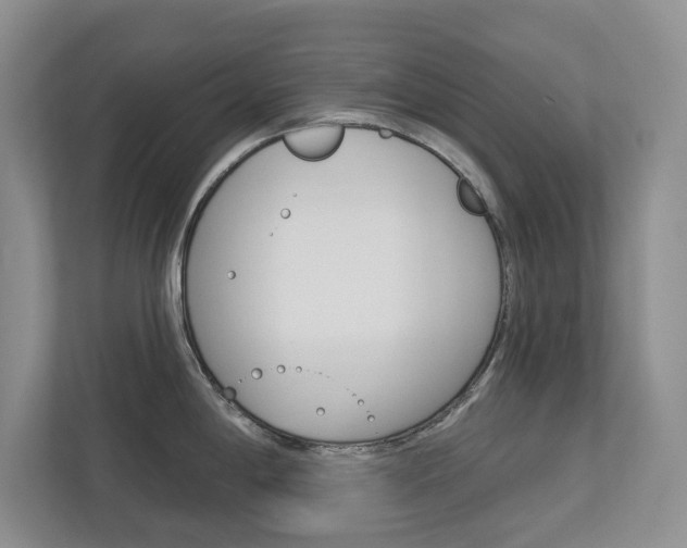 X0000113001198200908270913