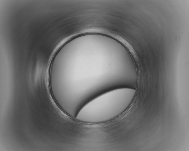X0000113001199200908270913