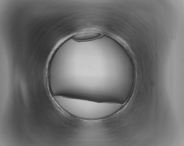 X0000113001200200908270913
