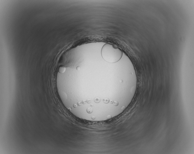 X0000113001201200908270913