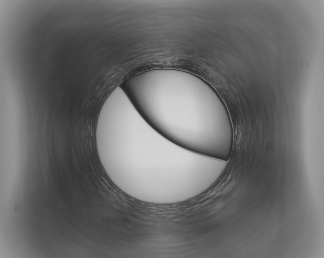 X0000113001202200908270913
