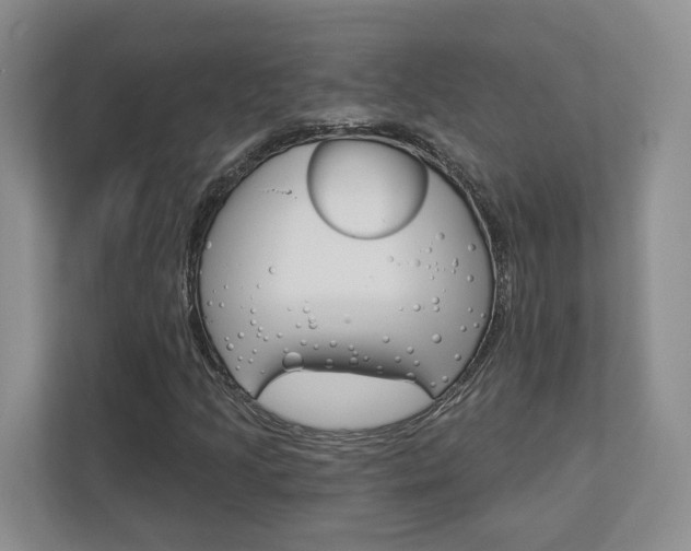 X0000113001205200908270913