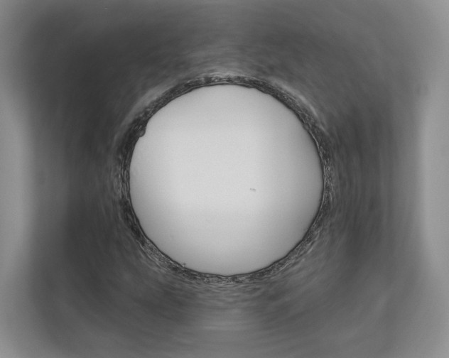 X0000113001207200908270913