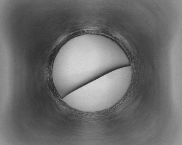 X0000113001208200908270913