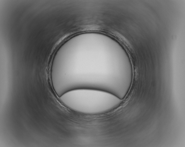 X0000113001212200908270913