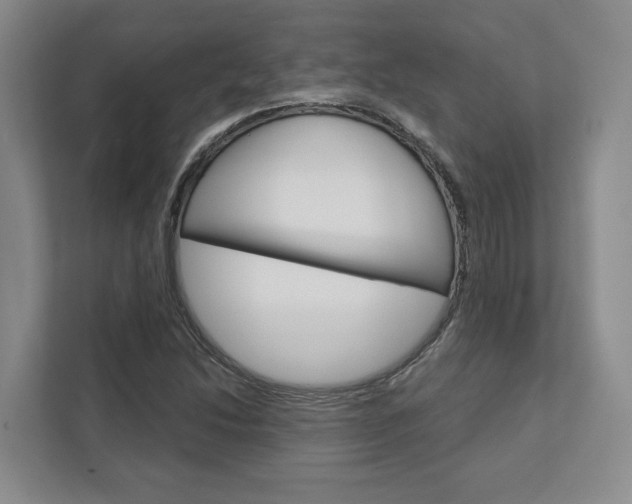 X0000113001214200908270913