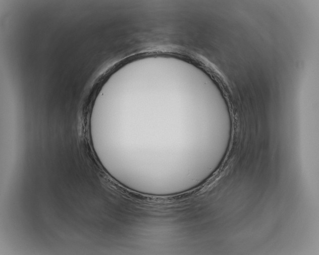 X0000113001215200908270913