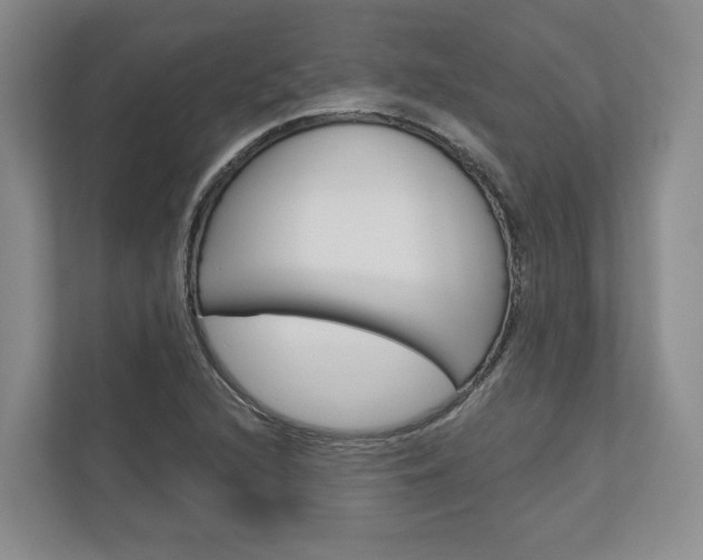 X0000113001216200908270913