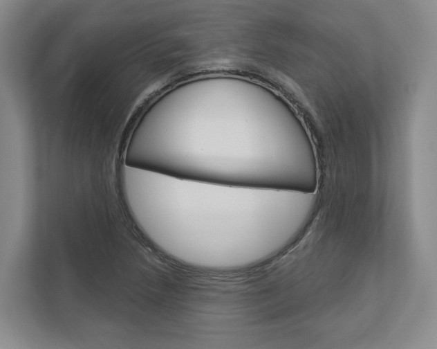 X0000113001218200908270913