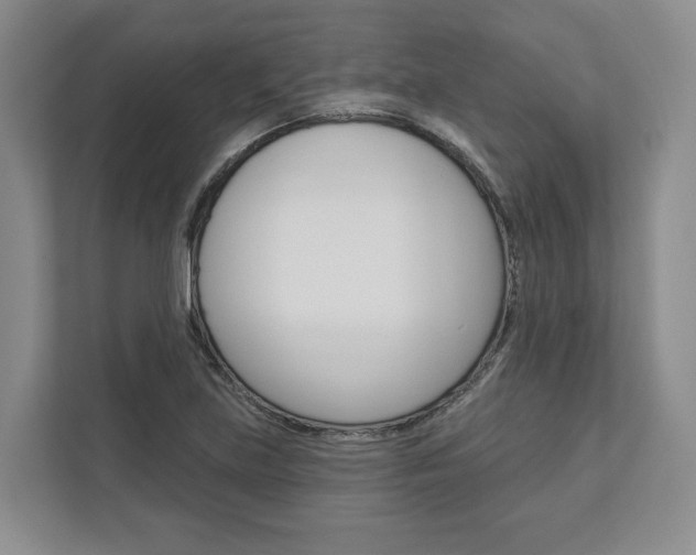 X0000113001219200908270913