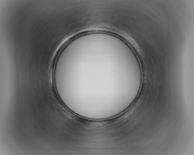 X0000113001224200908270913