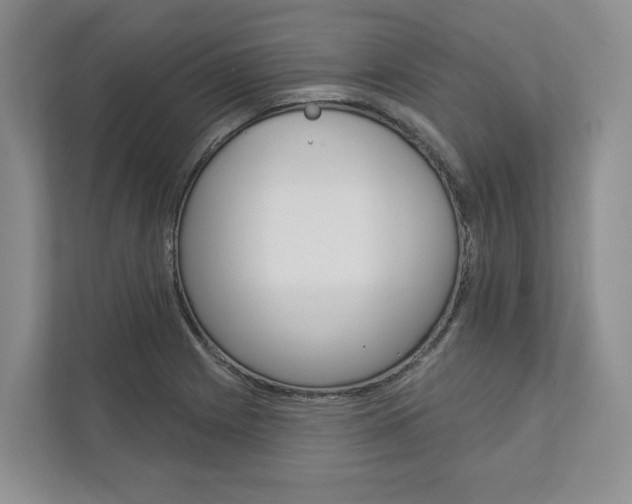X0000113001225200908270913