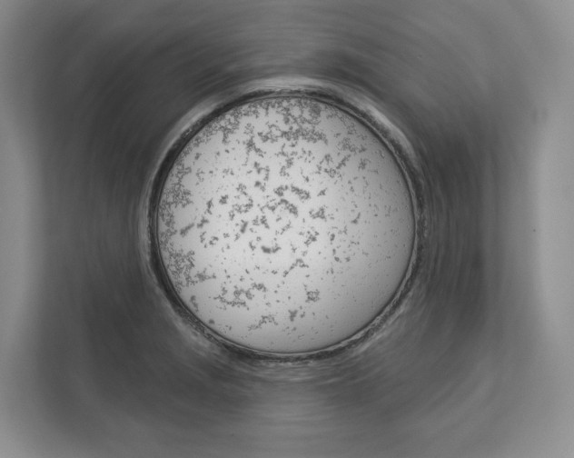 X0000113001229200908270913