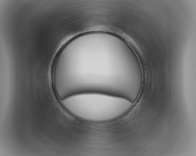X0000113001230200908270913