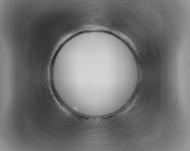 X0000113001231200908270913