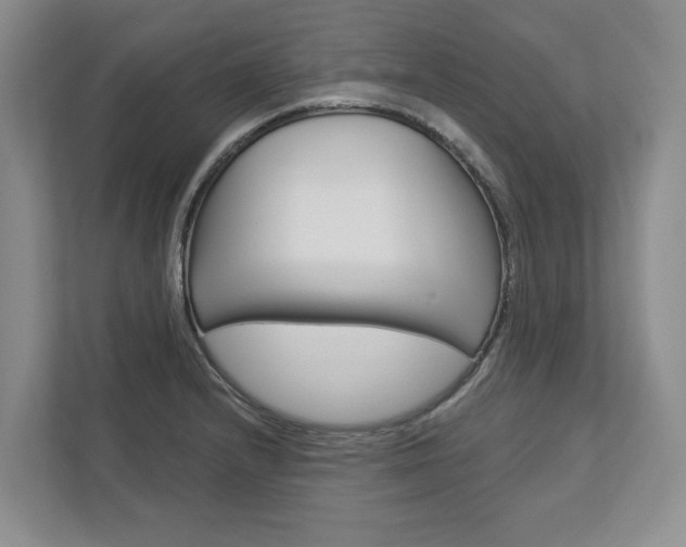X0000113001232200908270913
