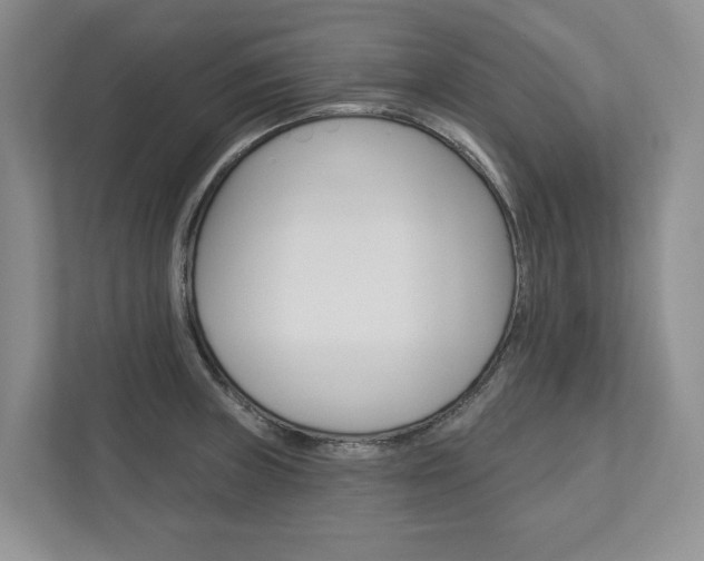 X0000113001235200908270913