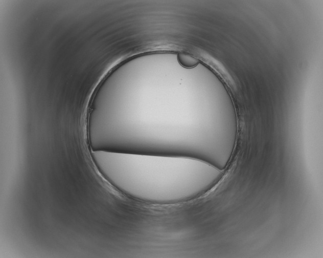 X0000113001236200908270913