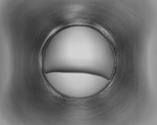 X0000113001238200908270913