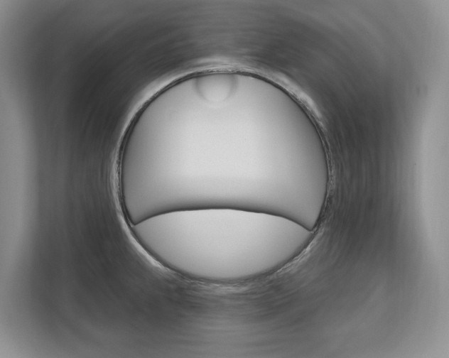 X0000113001239200908270913