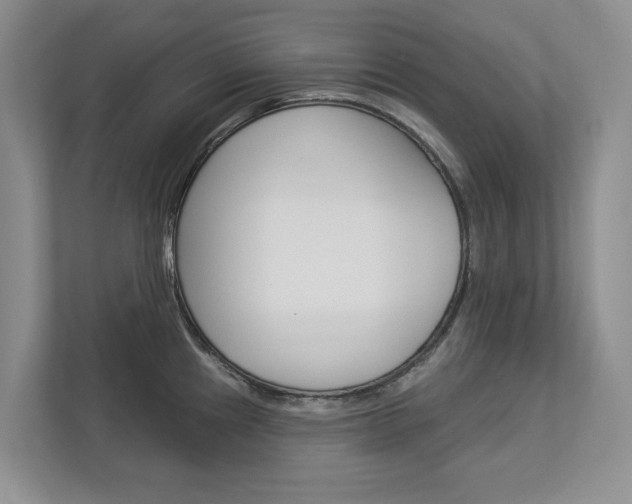 X0000113001241200908270913