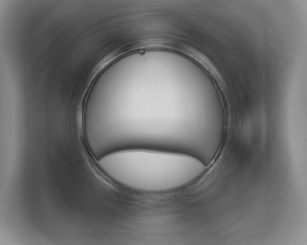 X0000113001242200908270913