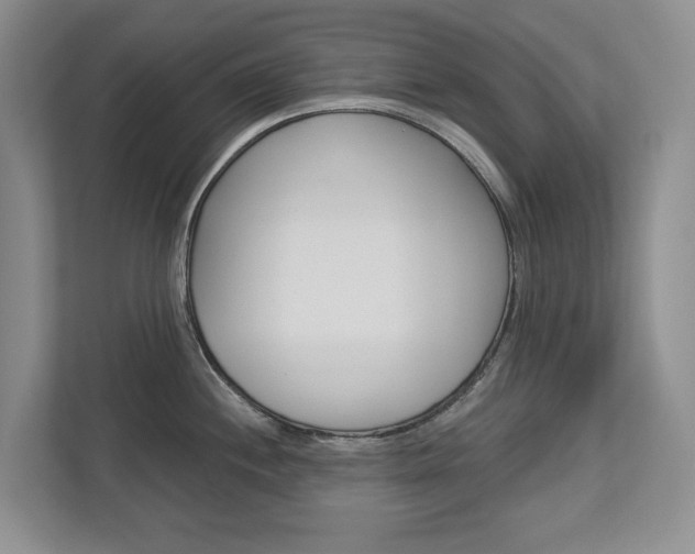 X0000113001244200908270913