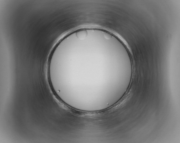 X0000113001245200908270913