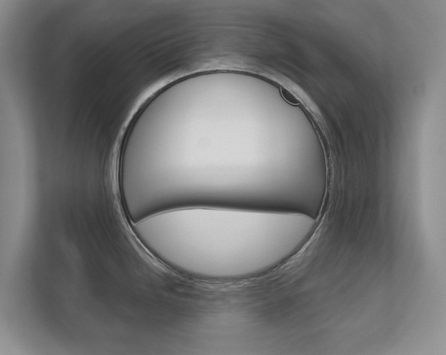 X0000113001246200908270913